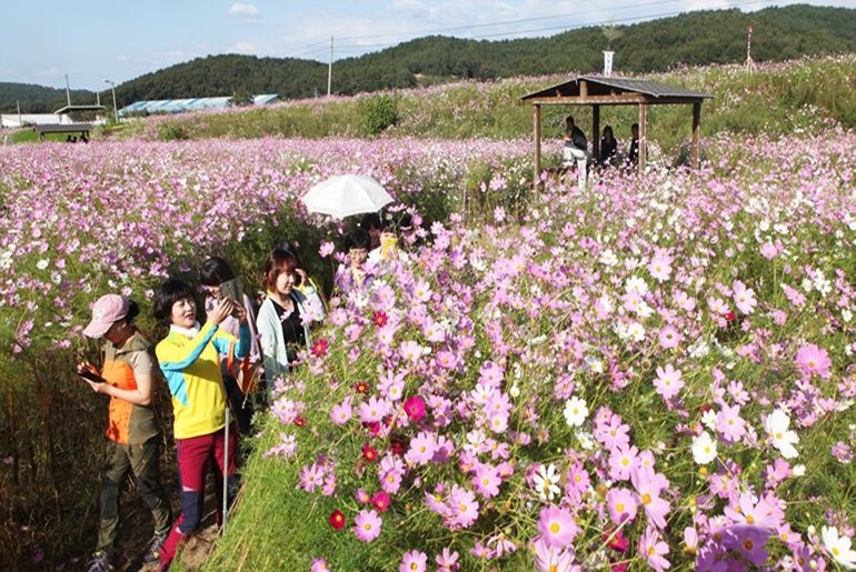 알아보기