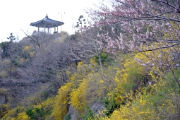 유달산,국내여행,여행지추천