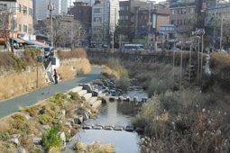 성북천,국내여행,여행지추천